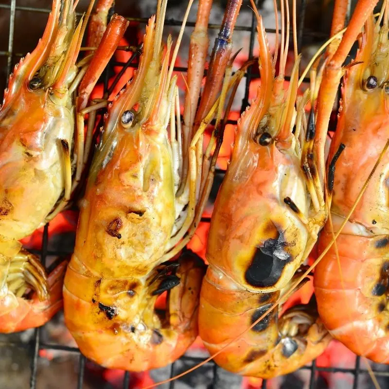 closeup with spanish Grilled Prawns