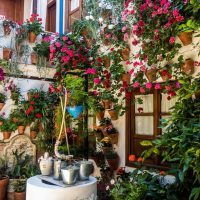 Festival de los Patios, a decorated house with flowers, Andalucia in May