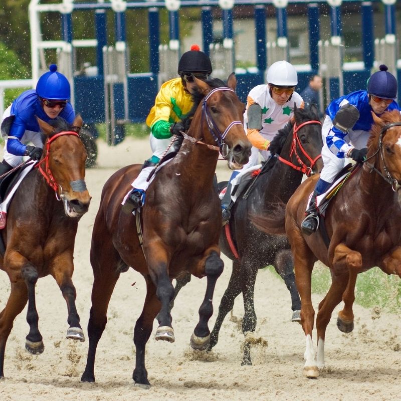 Horse races of Sanlúcar, 22 Best Festivals in Andalucia
