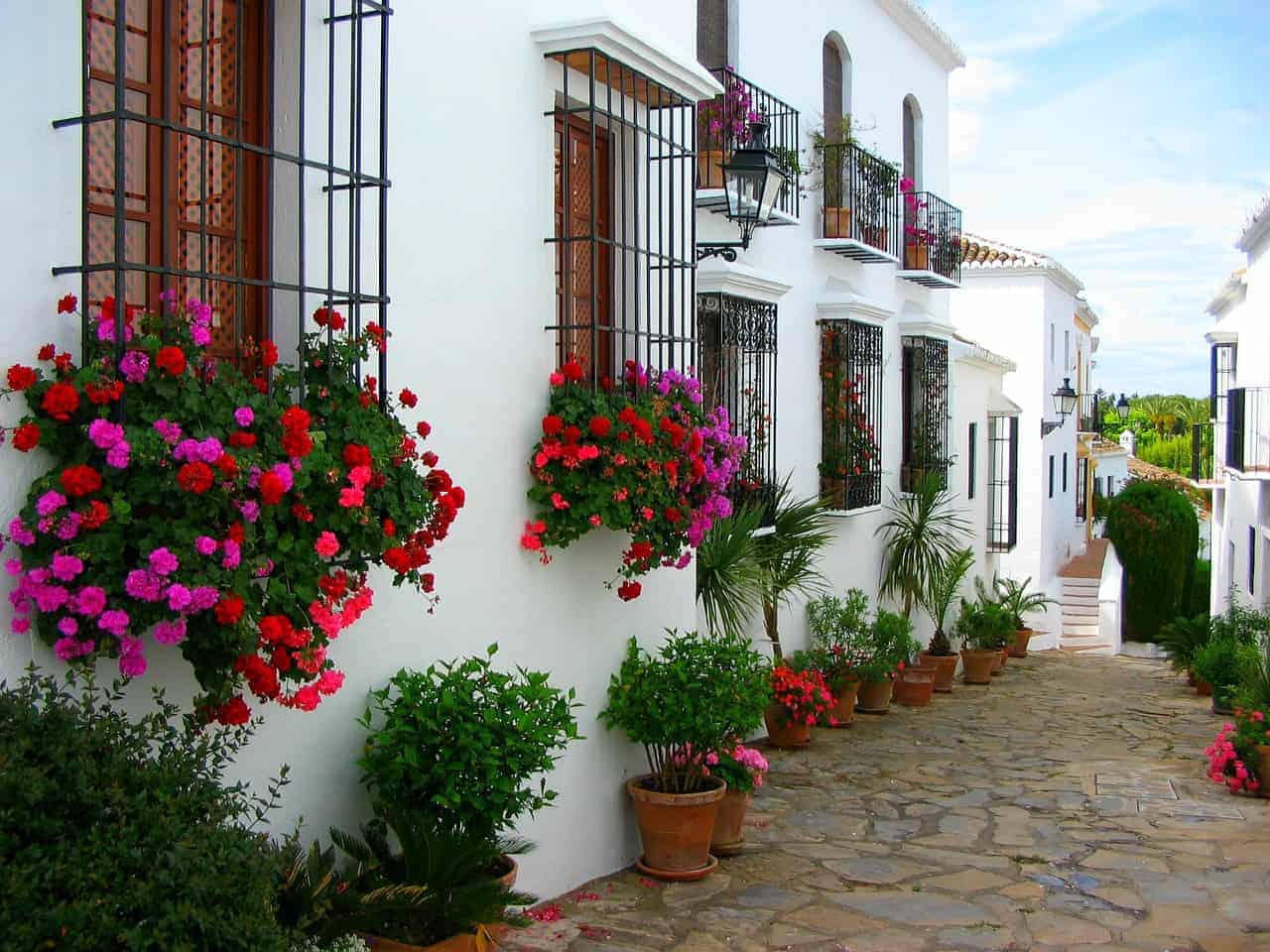 street in Marbella with flowers, things to do in marbella in april