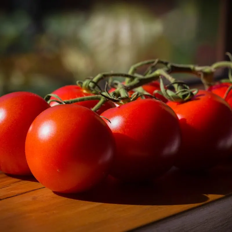 ripe tomatoes on a wooden plate for the gazpacho shot