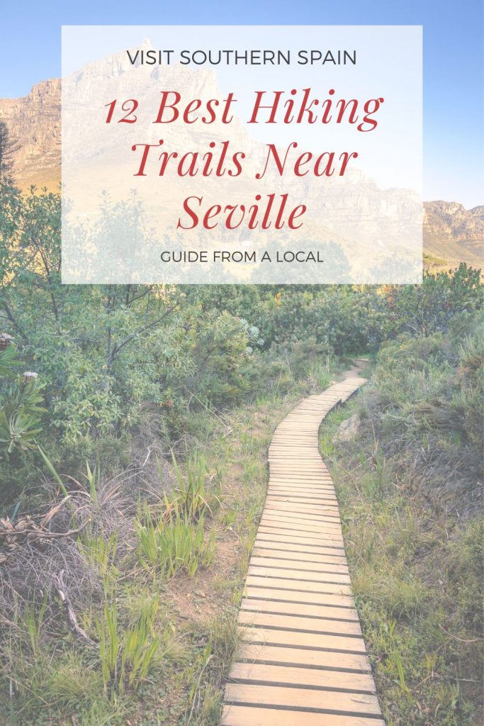 12 best hiking trails near seville, a foot path amidst a bushy plants