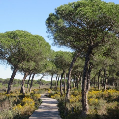 17 Best Hiking Trails Near Seville - Visit Southern Spain