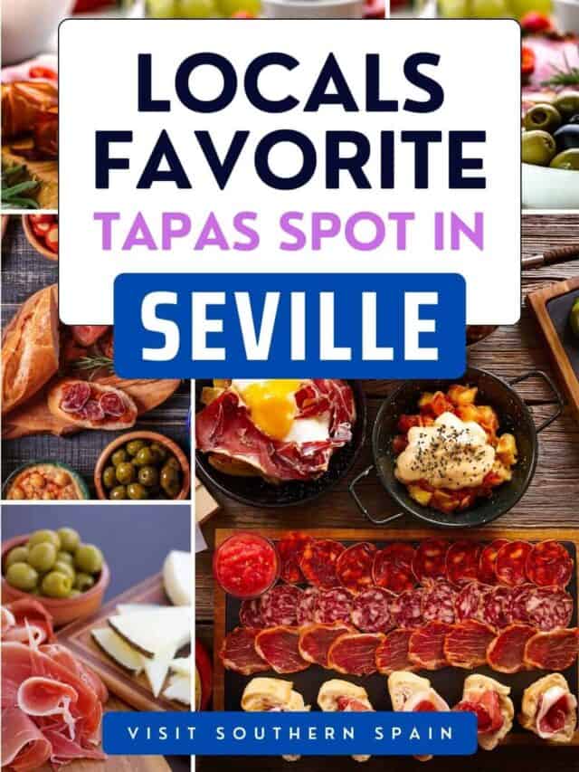 25 Best Tapas in Seville: Where Locals Eat!