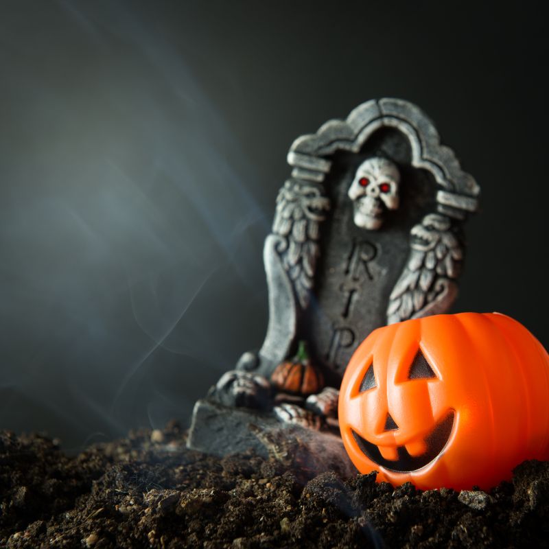 Halloween in Theme Parks and Museums, 10 Fun Ways to Celebrate Halloween in Malaga