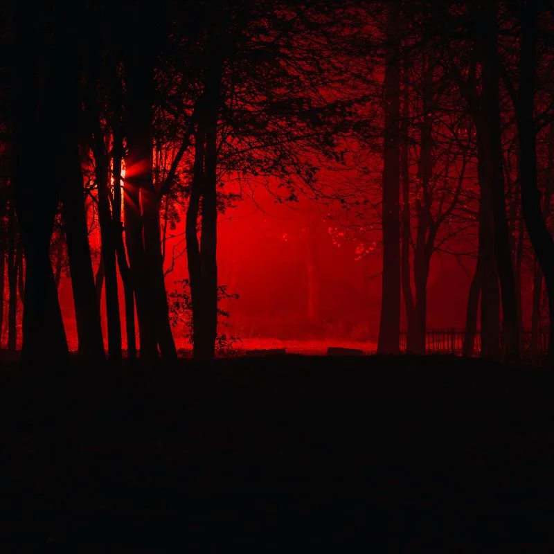  Botanical Garden at night in a red light, Malaga in July