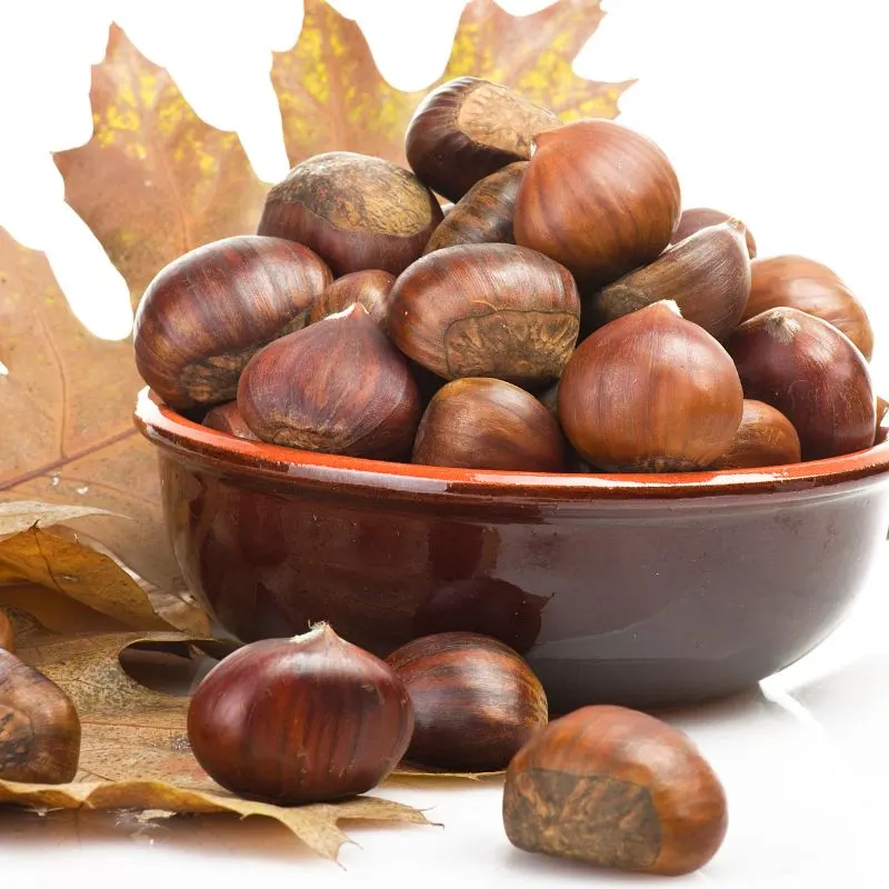 recipes with chestnuts