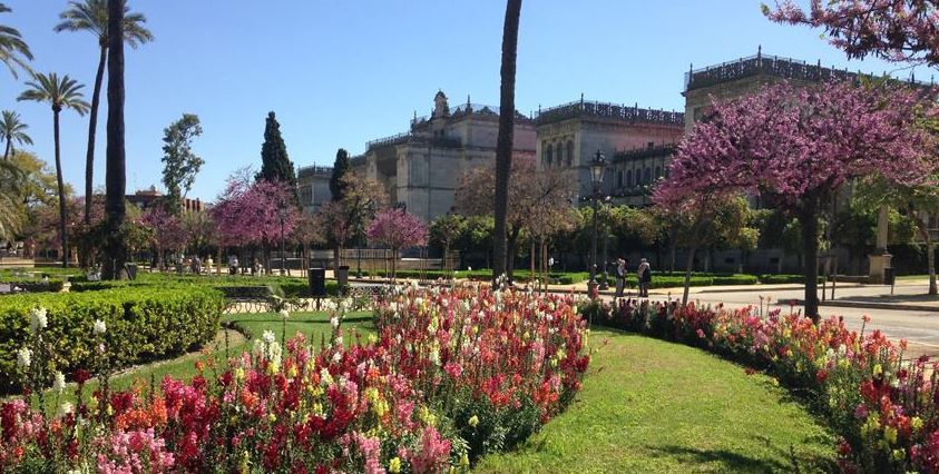 flowers on the garden in the front of Archaeological Museum of Seville