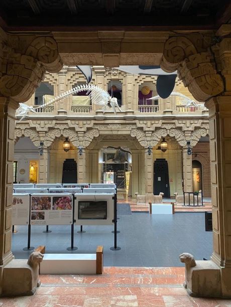 Museo Casa de la Ciencia, 15 Absolute Best Museums in Seville