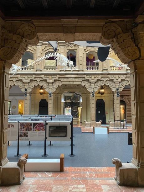 interior of Museo Casa de la Ciencia from the view of an arch