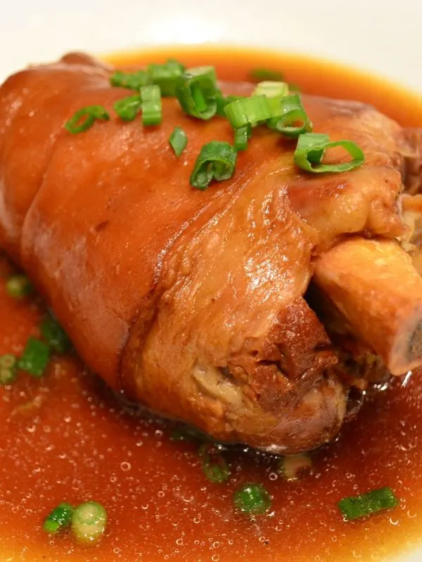 closeup with spanish pork in gravy.