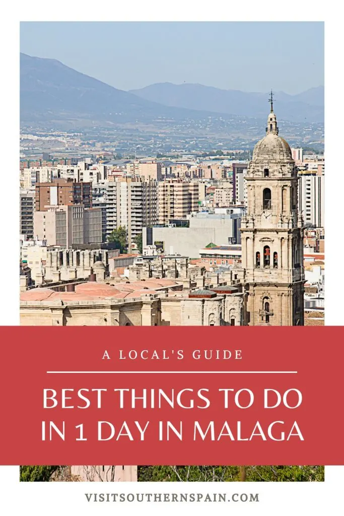 Aerial view of Malaga's Cathedral and other building in the distance. Under it it's written best things to do in 1 day in Malaga.