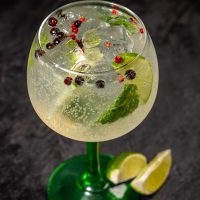 a glass of spanish gin and tonic decorated with limes and berries.