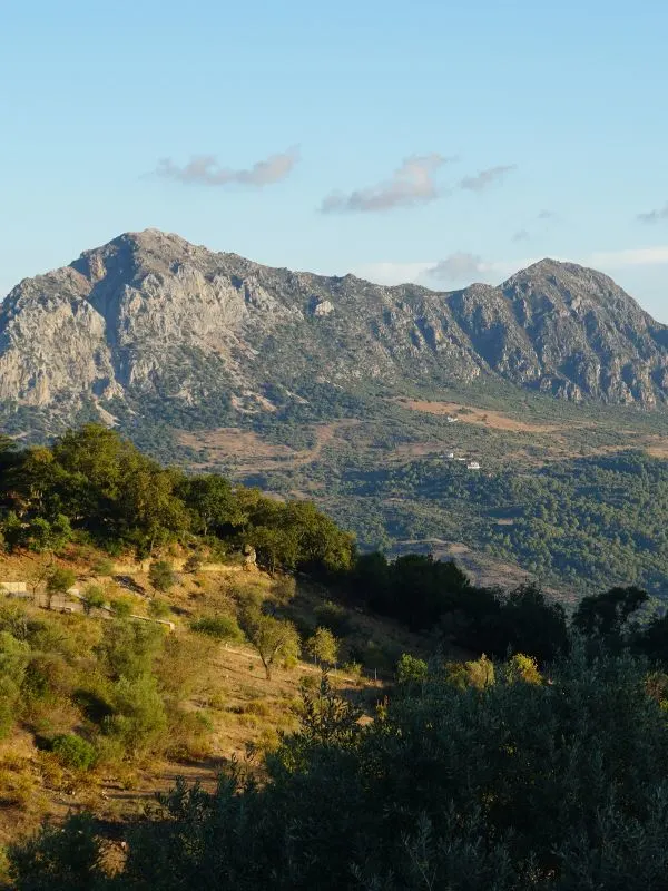 view of the Sierra Crestellina, Malaga province filled with trees with the sun shining on most part of it