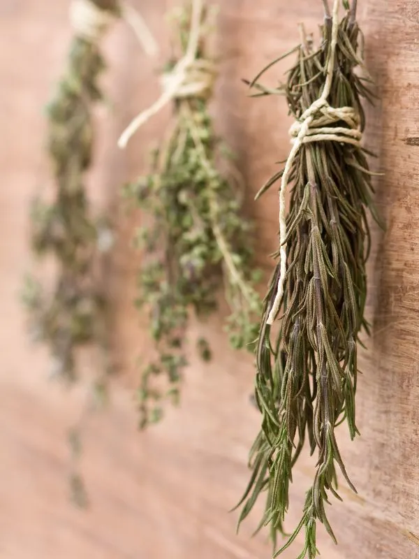 Spanish dried herbs
