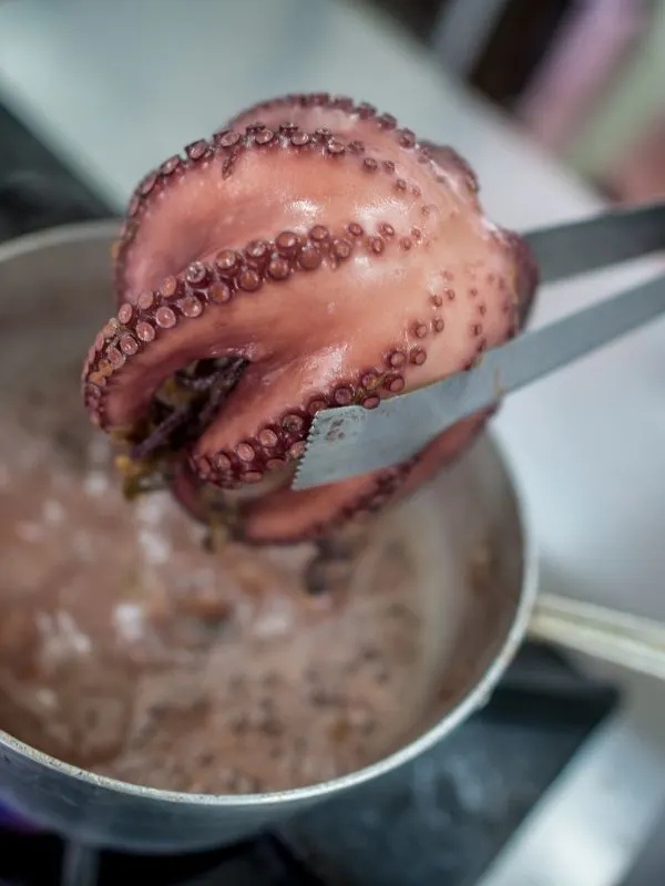 a pot of boiling water for cooking an octopus on a stove