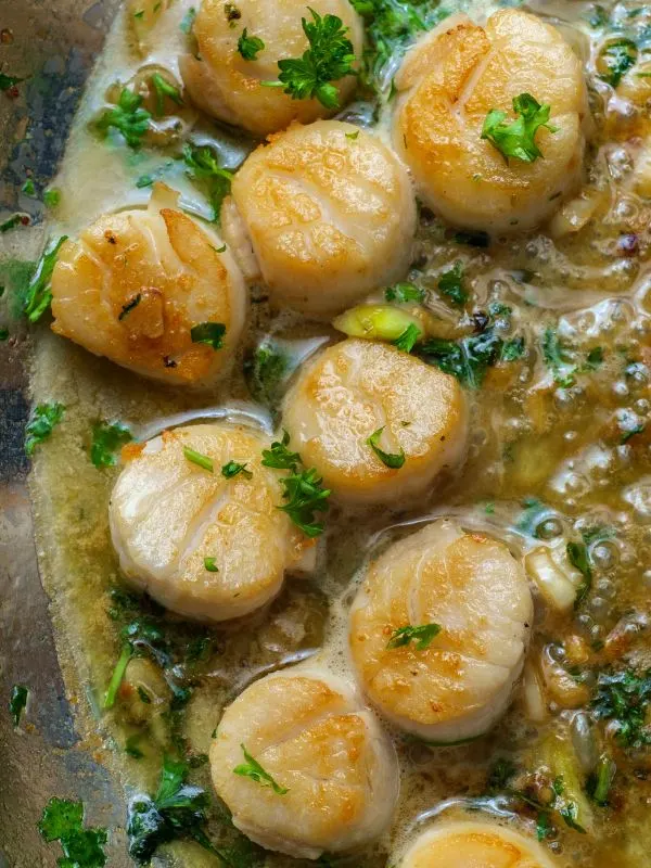 closeup with spanish scallops in garlic, butter and parsley sauce.