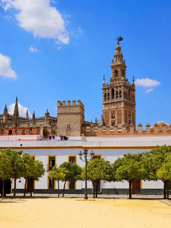 view of Seville Cathedral Giralda Tower from Alcazar, seville in winter