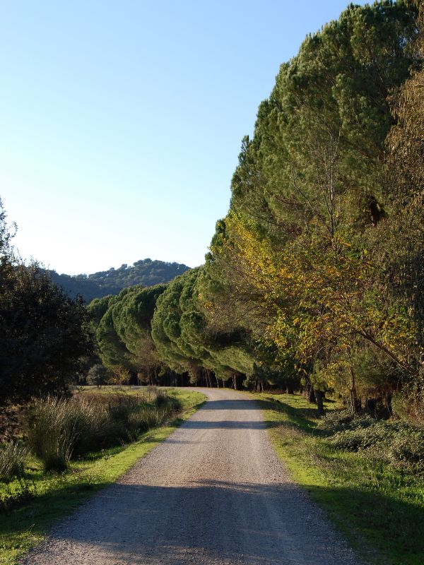 Via Verde De La Sierra, Cadiz. 20 Best Routes for Cycling in Andalucia in 2023
