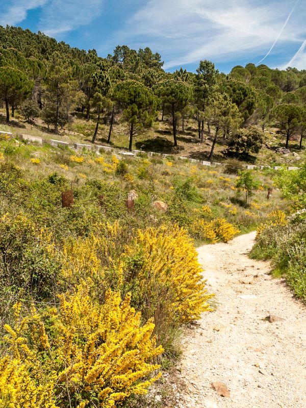 a bike route through the Grazalema Mountains. 20 Best Routes for Cycling in Andalucia in 2023