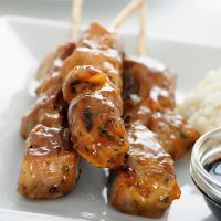 closeup with Spanish pork skewers recipe on a white plate with sauce and rice