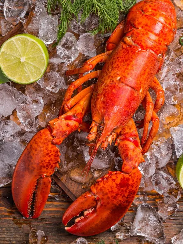 fresh lobster on ice for rice with lobster recipe