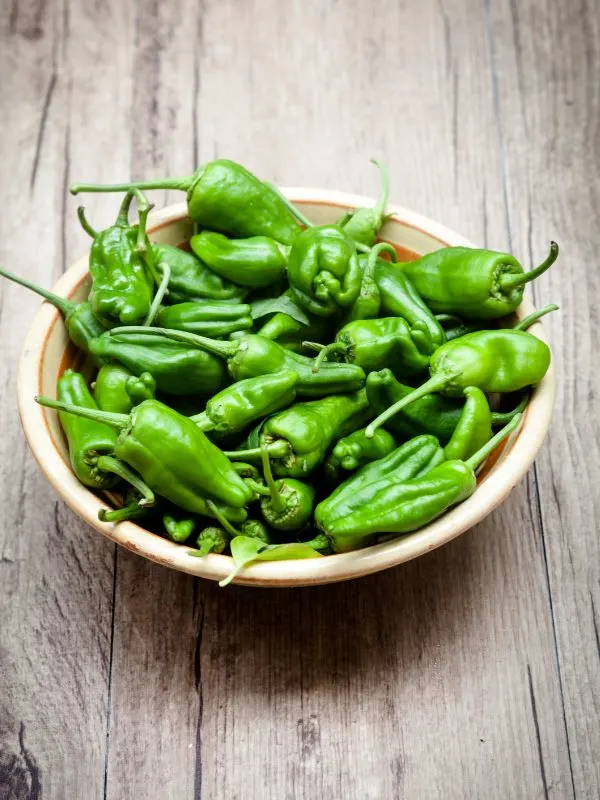fresh padron peppers in a bowl on a wooden table