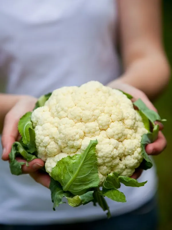 woman holding a fresh cauliflower in her hands for the cold cauliflower soup