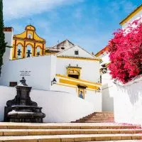 street in Cordoba with white buildings and pink flowers.