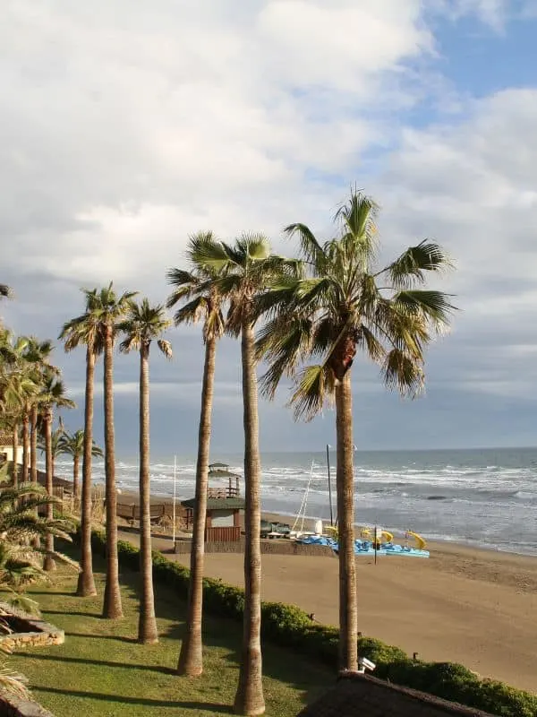 Beach in Marbella with palm trees and waves crushing for best things to do in Marbella in October