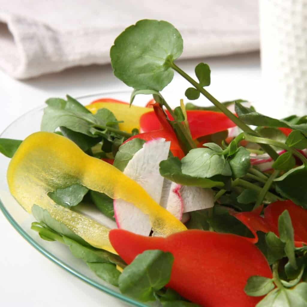 a close-up of a watercress salad with pepper slices on a transparent plate