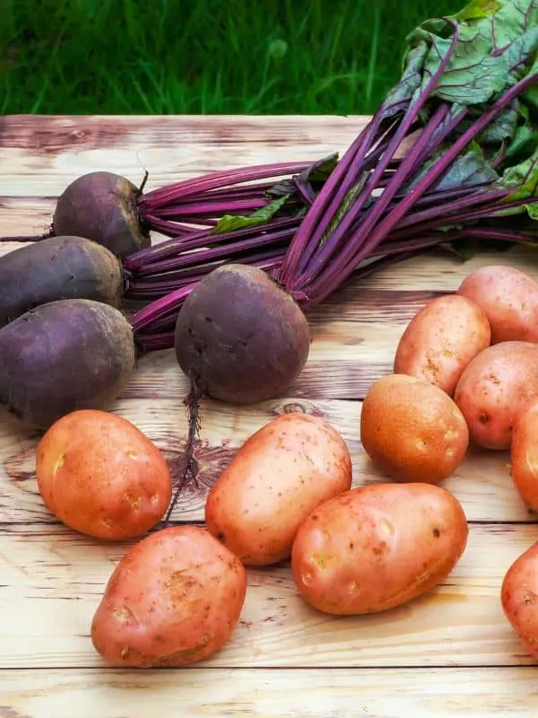 potatoes and beets for the spanish potato and beet salad