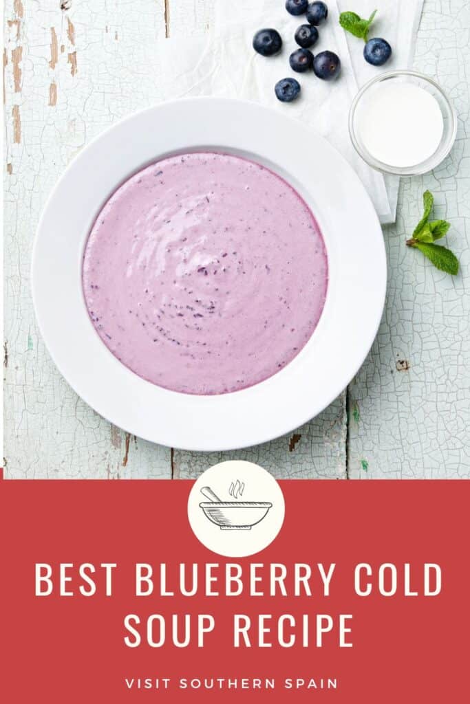 a pin with blueberry cold soup in a bowl on a white surface.