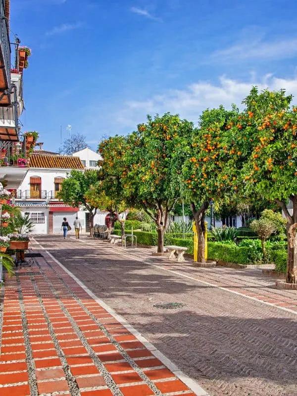 Orange Square or Plaza de la Naranjos in Marbella in May