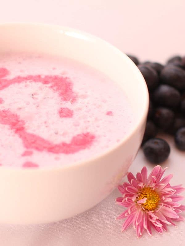 closeup of a blueberry cold soup in a bowl