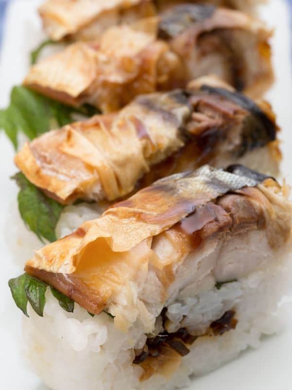 closeup with Spanish Mackerel Sushi with rice