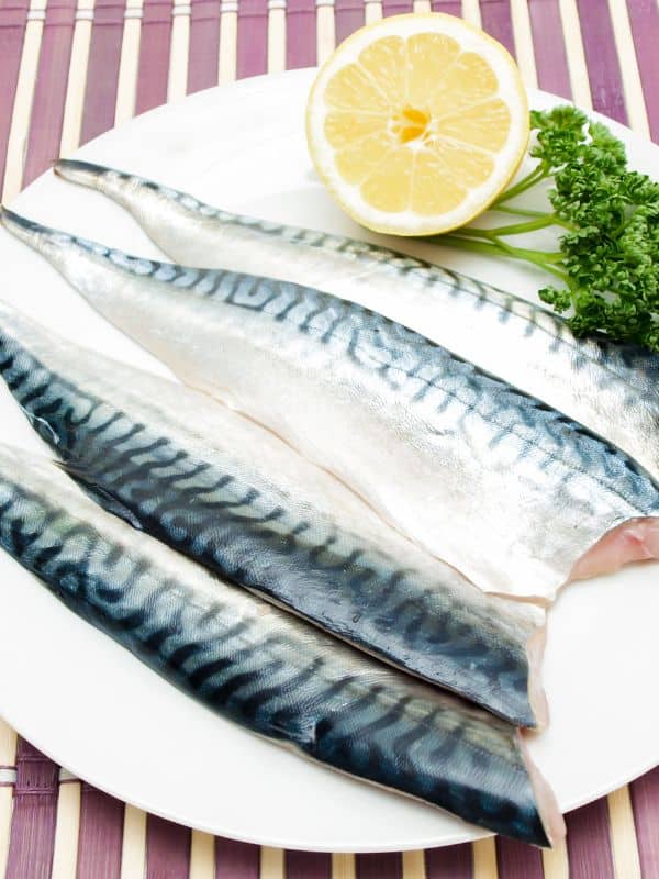 fresh mackerel filet on a plate for the mackerel soup recipe