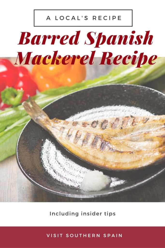 a pin with a barred Spanish mackerel in a pan.