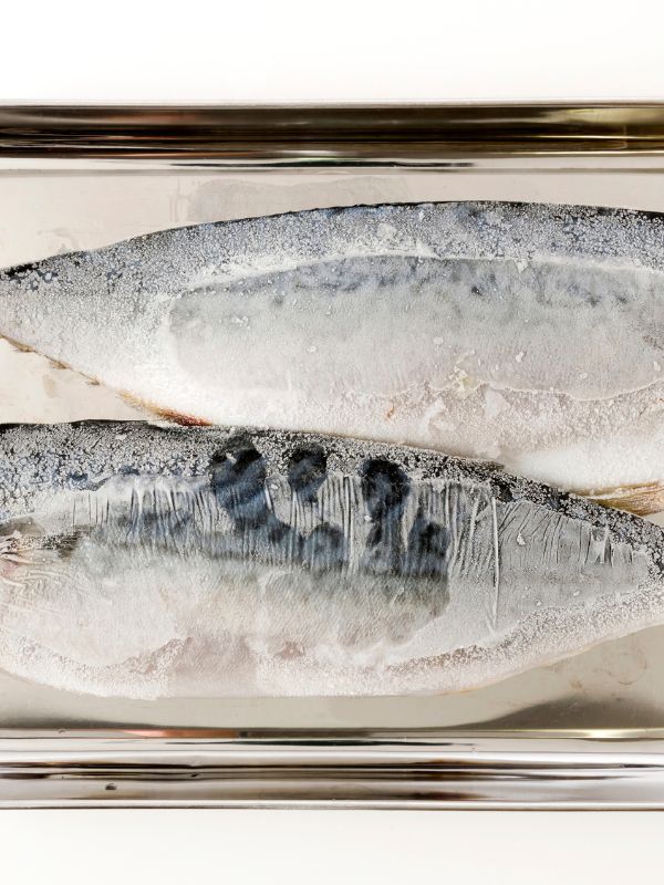 closeup of frozen mackerel fillets on a tray for the frozen mackerel recipe