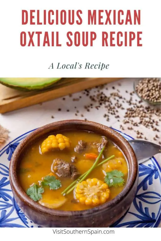 a pin with a Delicious Mexican Oxtail Soup in a clay bowl.