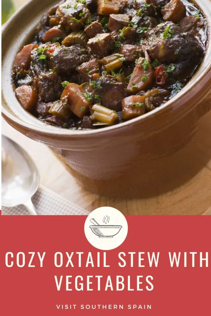 a pin with a pot of oxtail stew with vegetables