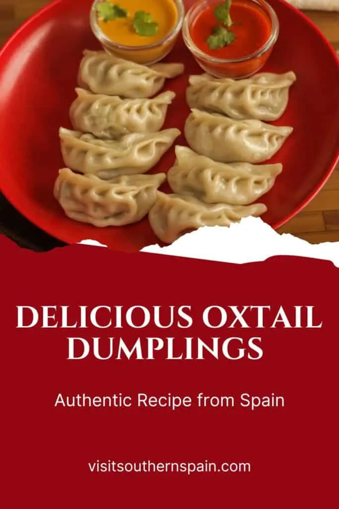 a pin with a red plate containing oxtail dumplings served with sauce.