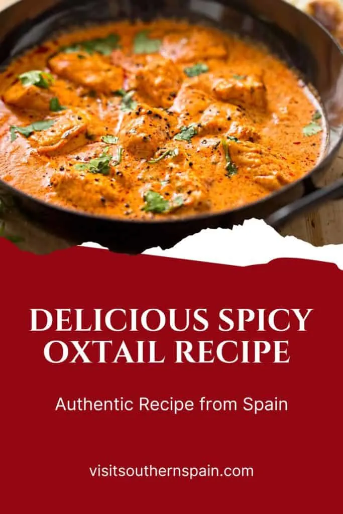 a pin with a spicy oxtail recipe served in a pan.