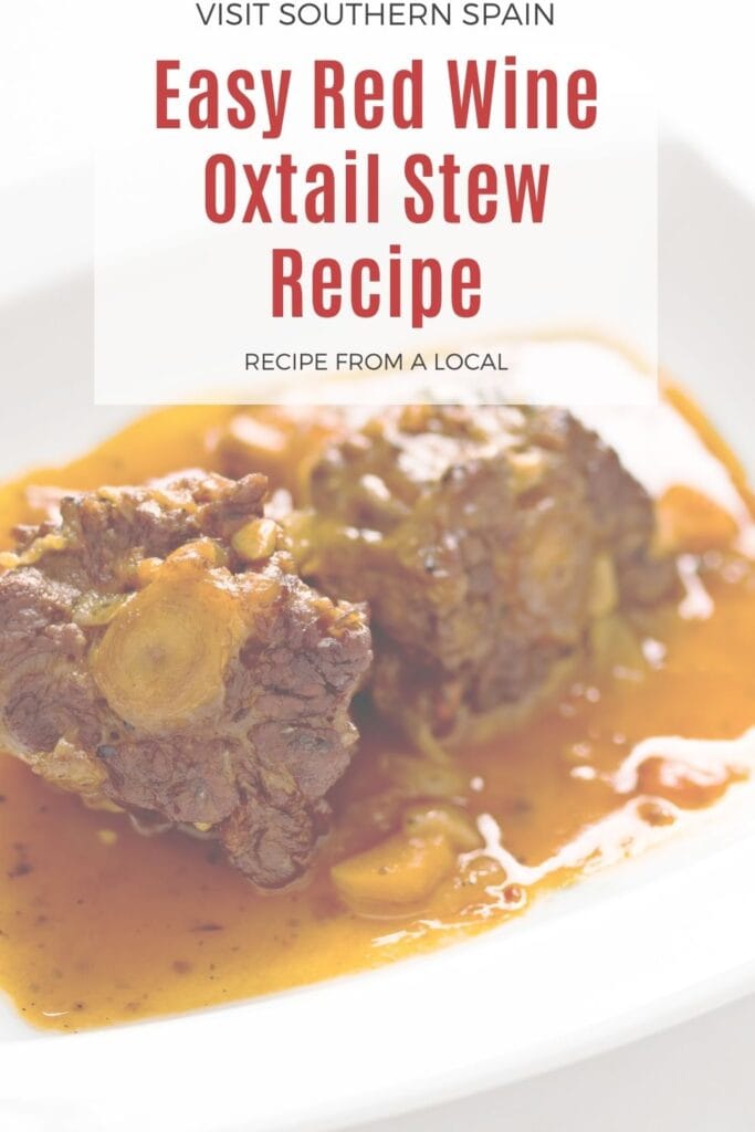 a pin with red wine oxtail stew on a plate.