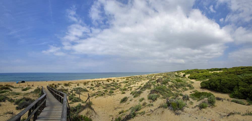 a wooden walkway on a beach dune with grass leading to the blue sea, white clouds on the blue sky