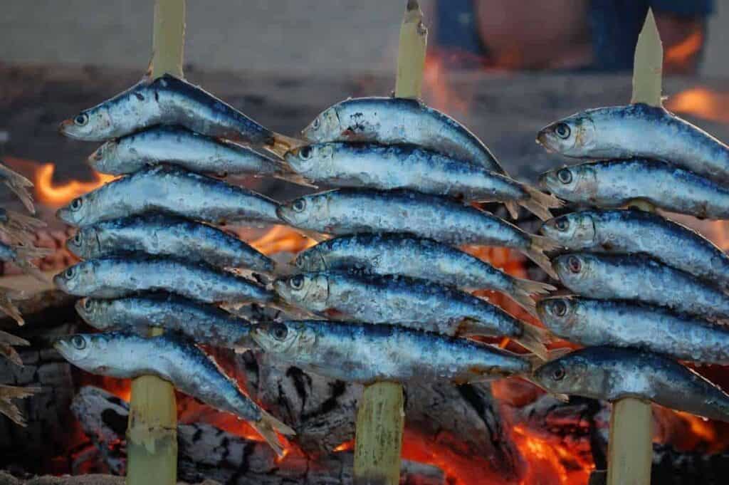 espeto made on the beach, one of the best Andalusian Specialities