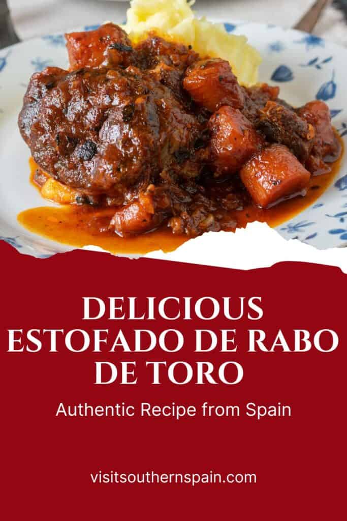 a pin with estofado de rabo de toro, a spanish oxtail recipe with sauce.