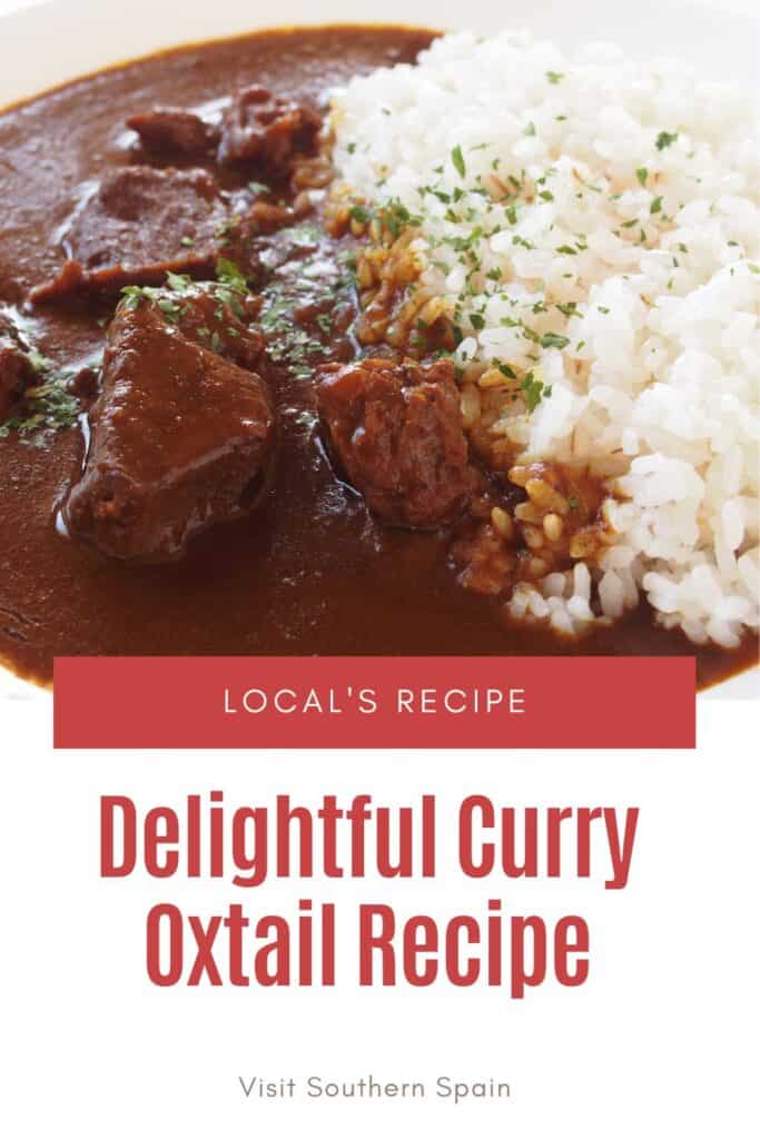 a pin with curry oxtail recipe served with rice.