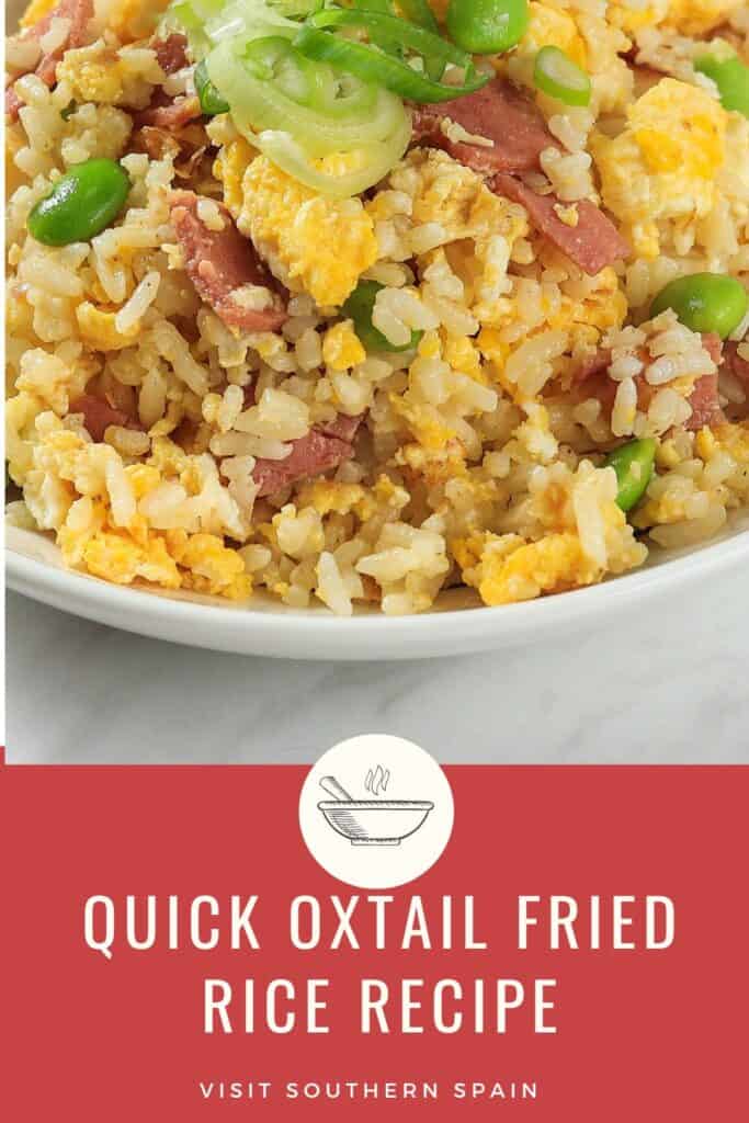 a pin with a bowl of Oxtail Fried Rice.