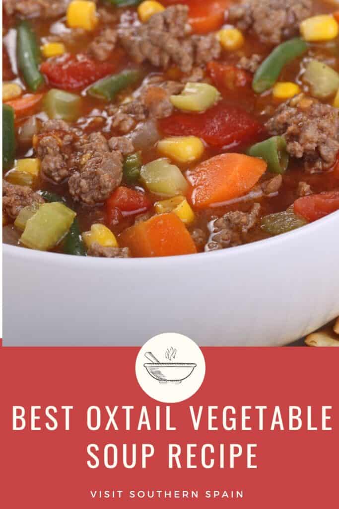 a pin with a bowl of oxtail vegetable soup